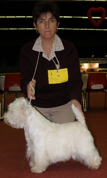 CH. Westibery's Dance with wolves