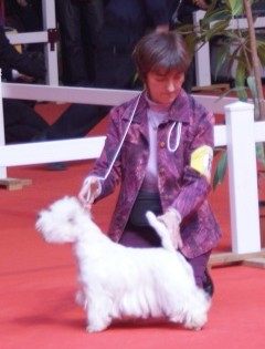 Westibery's - Betty, championne internationale