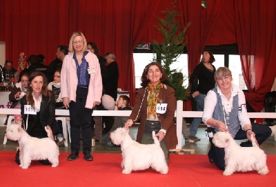 Westibery's - Exposition de Bourges